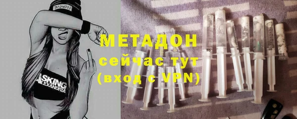 шишки Арсеньев