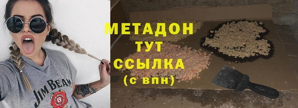 шишки Арсеньев
