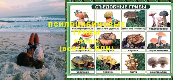 шишки Арсеньев