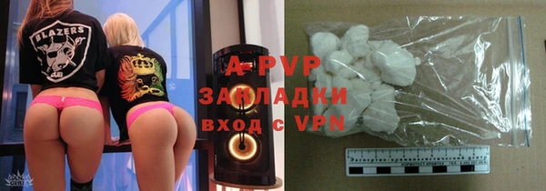 шишки Арсеньев