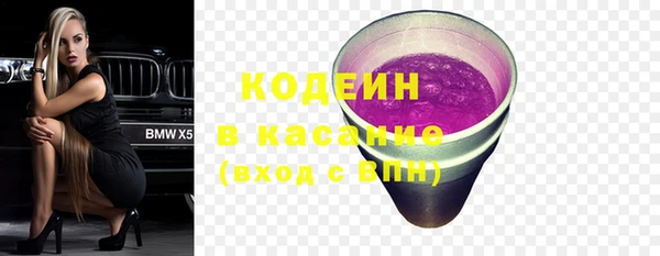 шишки Арсеньев