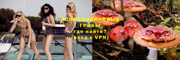 MESCALINE Аркадак